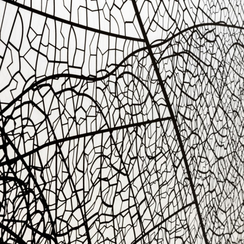 Дверь в нишу DTO FB 160-180 Black (160-180)