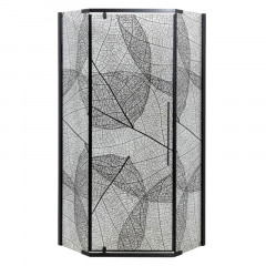 Душевое ограждение DTO PB 100 Black (98-100)x(98-100)