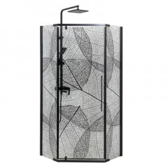 Душевое ограждение DTO PB 100 Black (98-100)x(98-100)