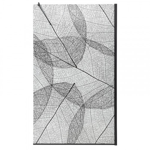 Душевая перегородка DTO MB 100 Black (98-100)x(70-120)